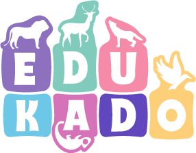 Przedszkole EDUKADO